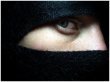 Ninja Managerial Leadership Model