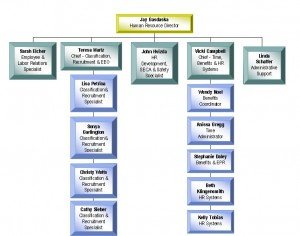 Organization Design