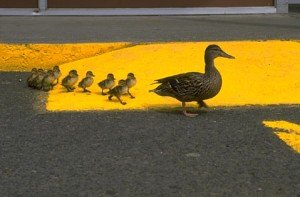 Designing to Make Managers Leaders